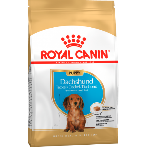 Royal Canin Dachshund Junior 10 1 5
